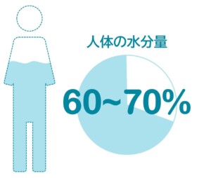 人体の水分量
